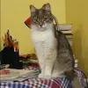 Отзыв от Наиля Шарова